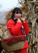 杏花